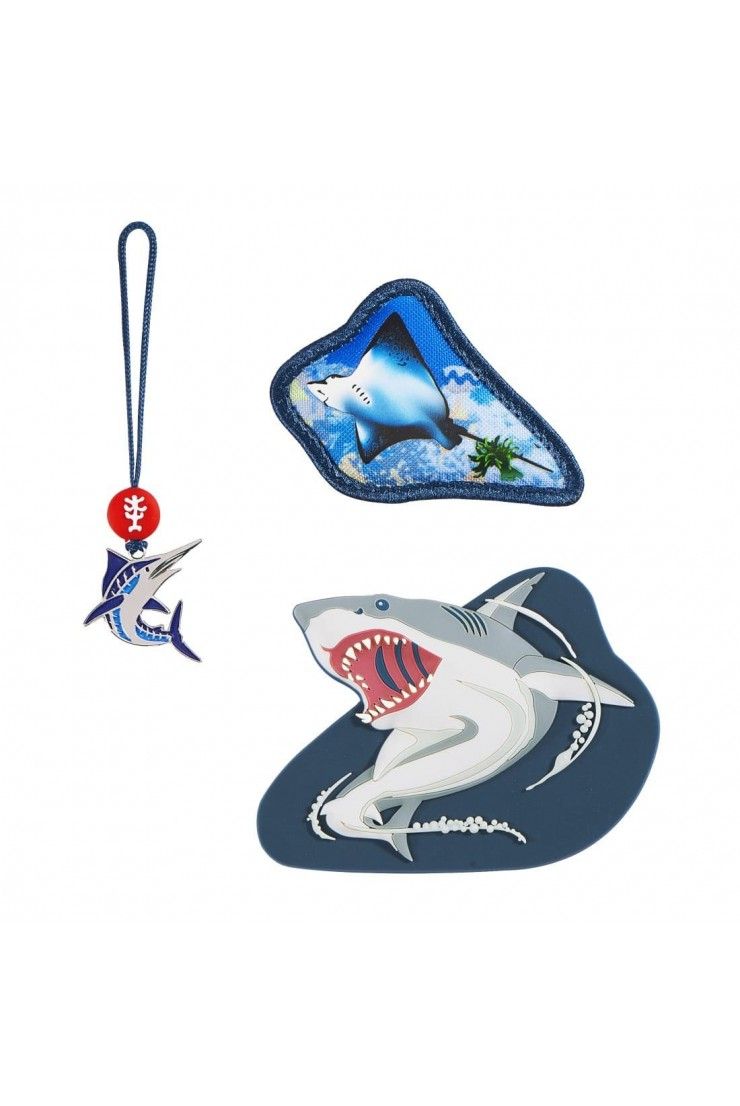 Step by Step Magnetic Motive Accessories Angry Shark