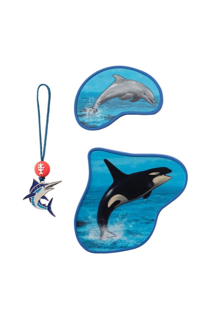 Step by Step Magnetic Motive Accessories Move Orca