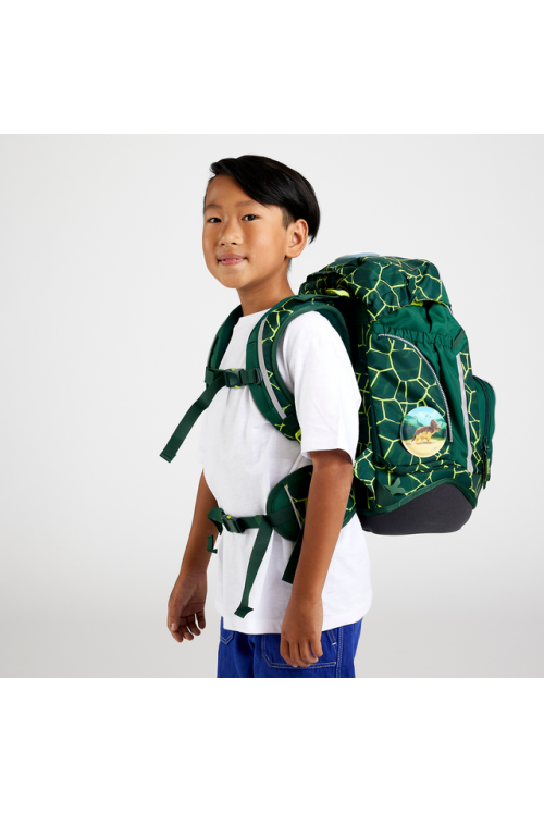 ergobag pack school backpack set 6 pieces BärRex new