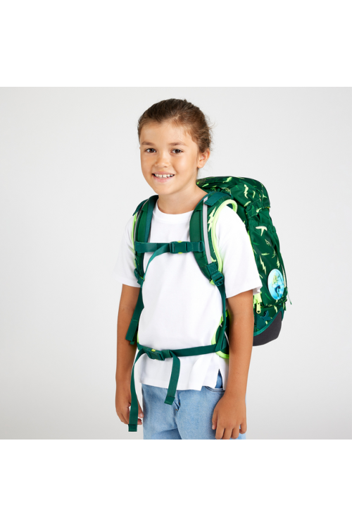ergobag pack school backpack set 6 pieces Bärtastisch new